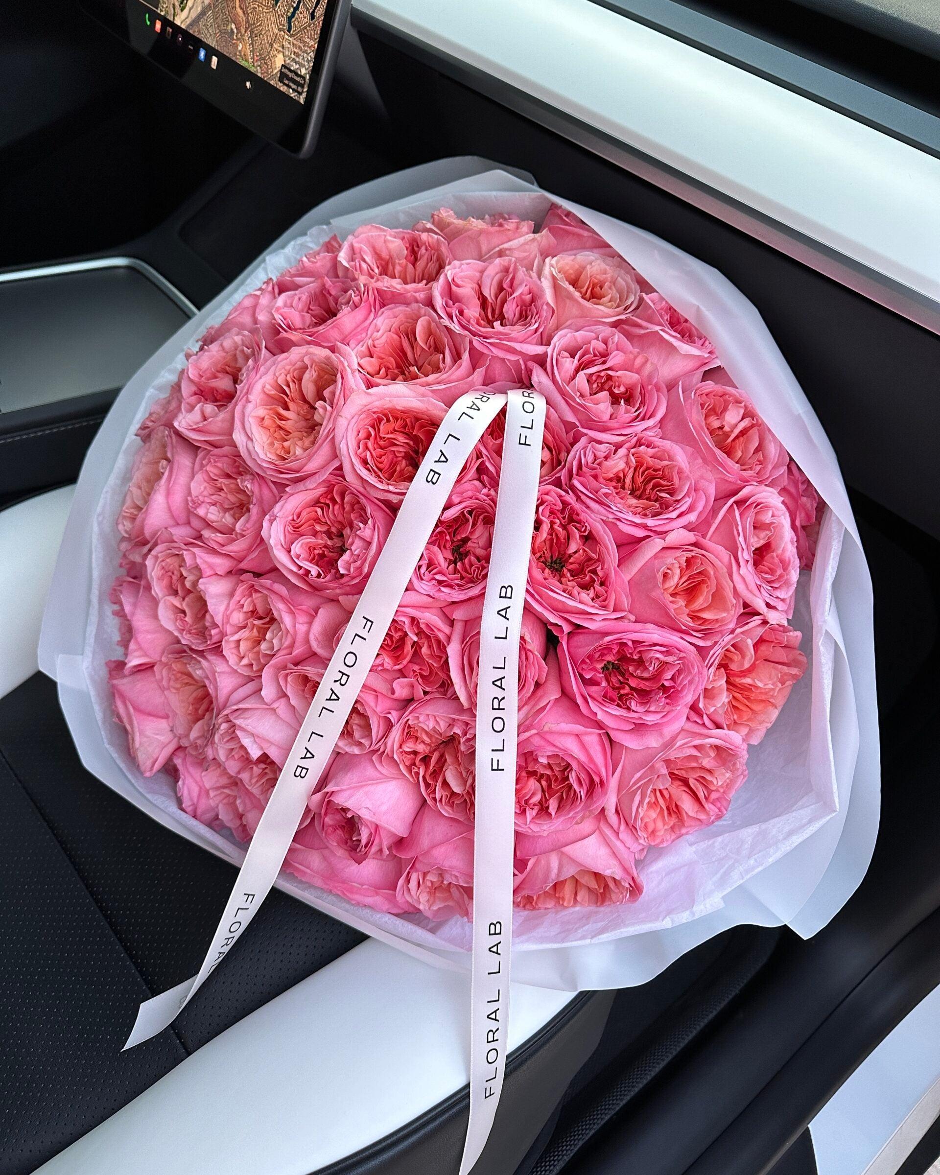 Garden Roses — Las Vegas