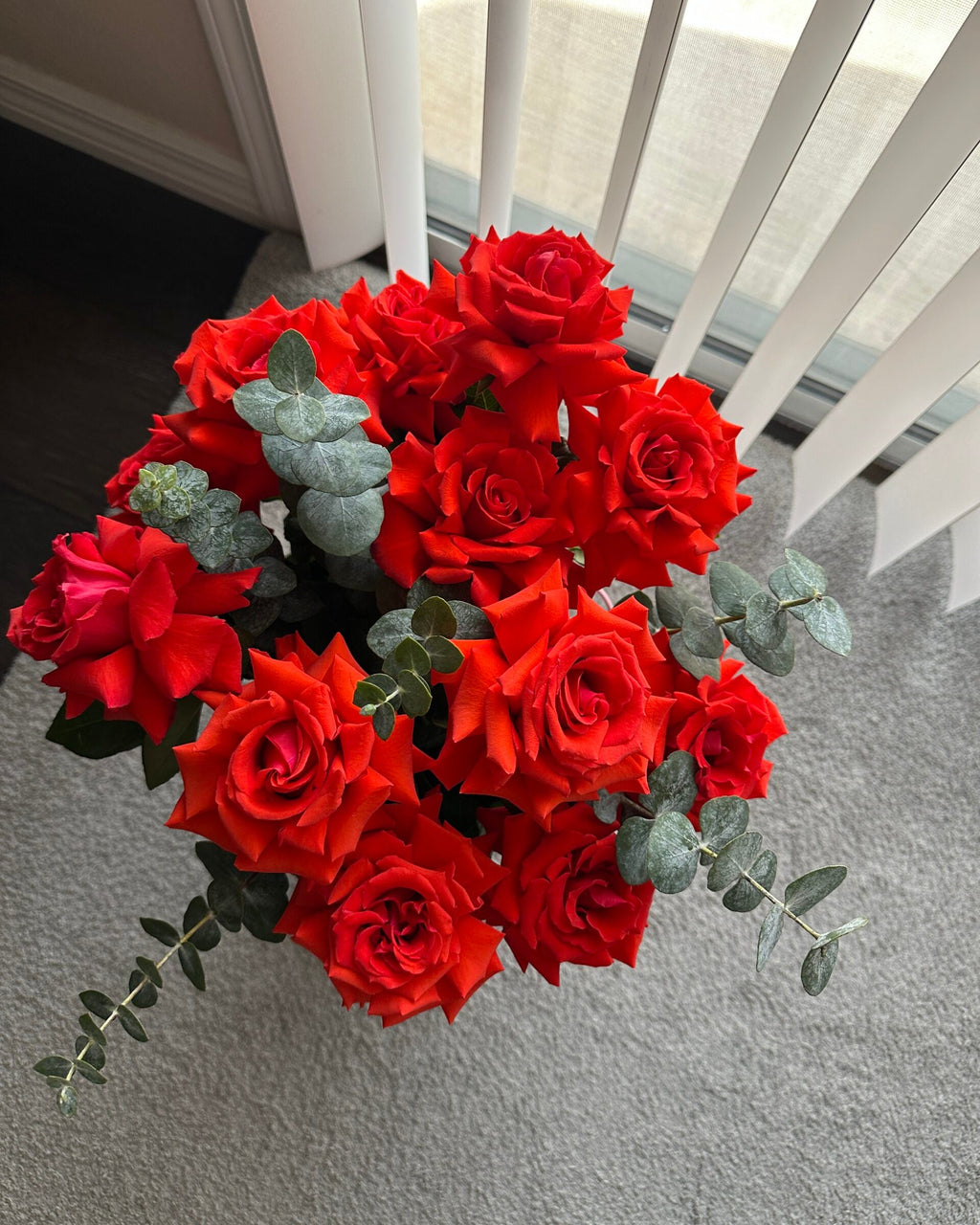Dozen Roses in a Bucket — Las Vegas Valley